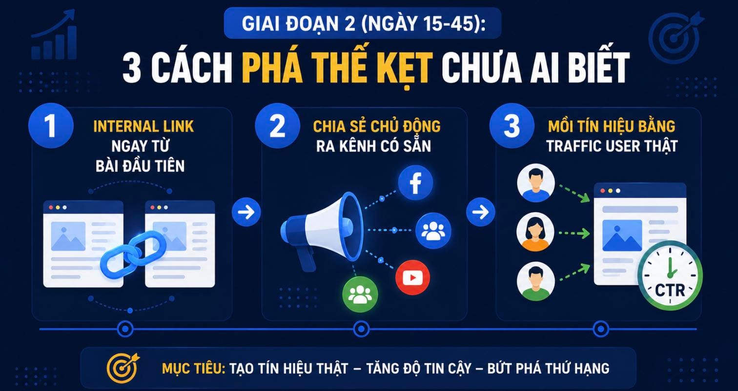 Giai đoạn 2 mồi tín hiệu ban đầu cho website mới: internal link, chia sẻ chủ động ra kênh có sẵn và mồi tín hiệu bằng traffic user thật Giai đoạn 2 mồi tín hiệu ban đầu cho website mới: internal link, chia sẻ chủ động ra kênh có sẵn và mồi tín hiệu bằng traffic user thật