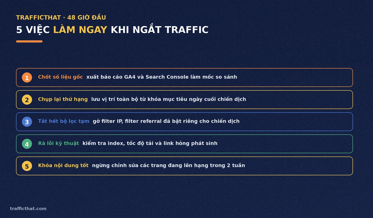 5 việc làm ngay trong 48 giờ đầu khi ngắt traffic 5 việc cần làm ngay trong 48 giờ đầu sau khi ngắt traffic