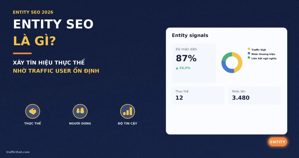 Entity SEO Là Gì? Xây Dựng Tín Hiệu Thực Thể Nhờ Traffic User Ổn Định (2026)