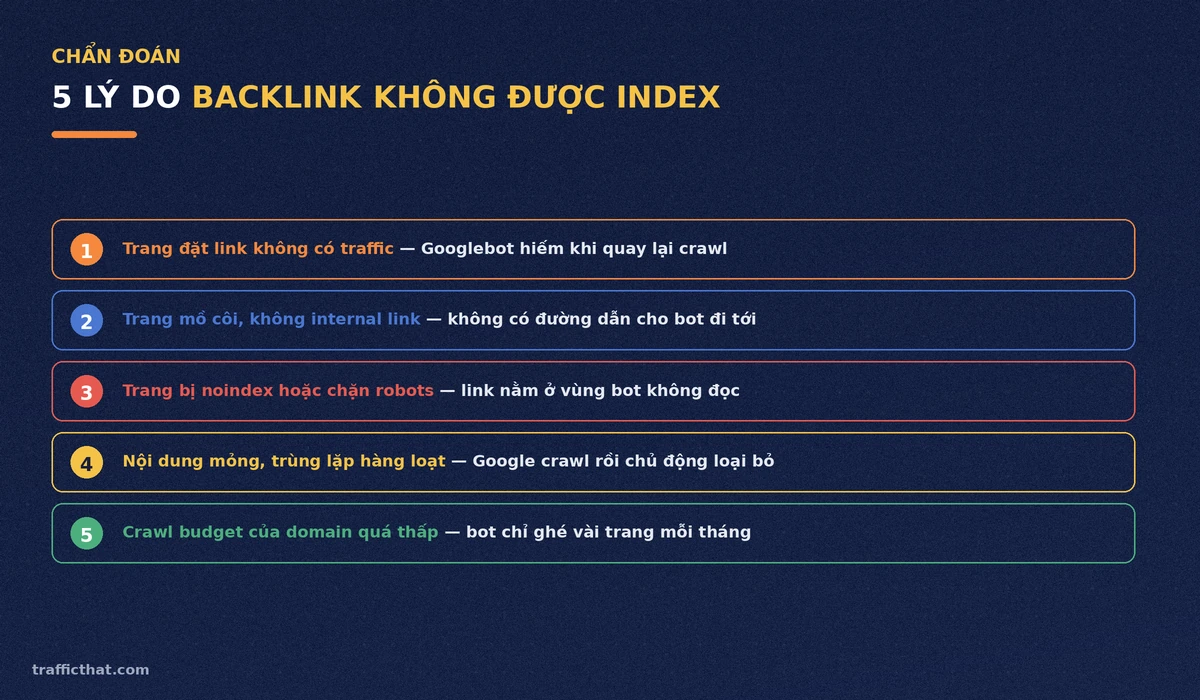 5 lý do backlink không được Google index 5 lý do backlink không được Google index