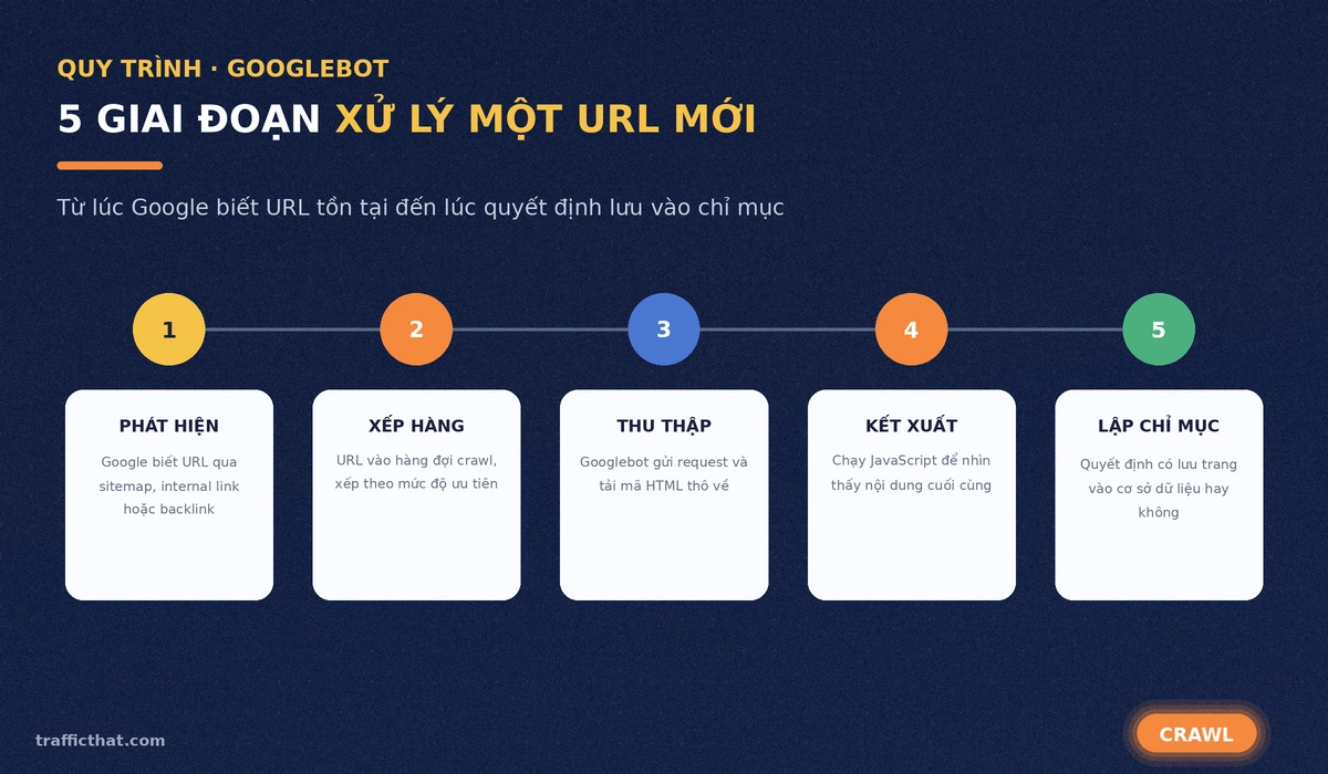 Năm giai đoạn Googlebot xử lý một URL mới Sơ đồ 5 giai đoạn Googlebot xử lý một URL mới: phát hiện, xếp hàng, thu thập, kết xuất và lập chỉ mục